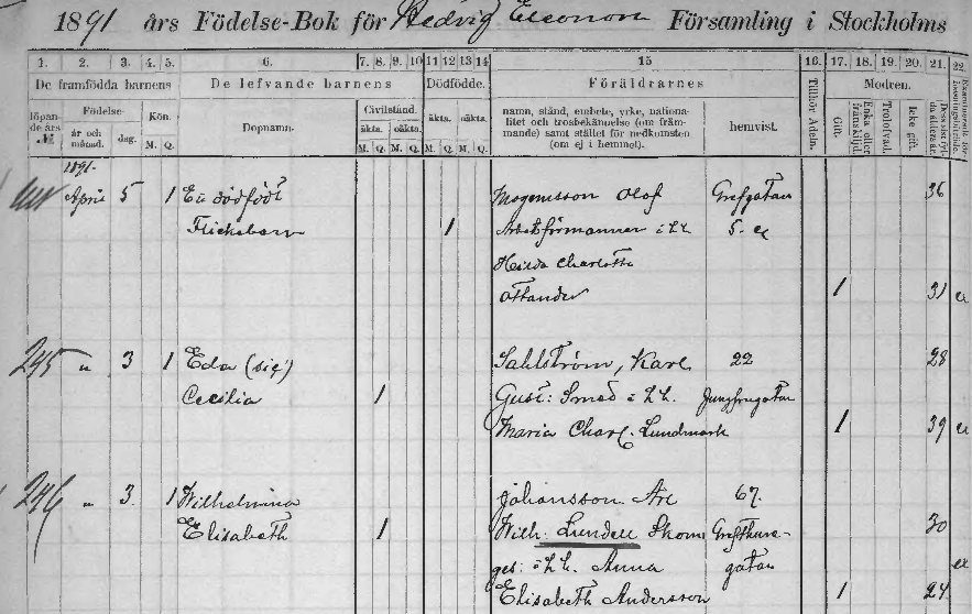 Elisabeth Wilhelmina Johansson 1891 Birth Record